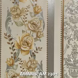 AMARIS, AM 230-1