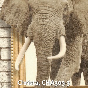 Christa, CHA305-3