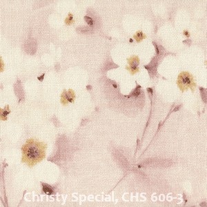 Christy Special, CHS 606-3