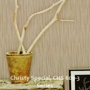 Christy Special, CHS 609-3 Series