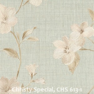 Christy Special, CHS 613-1