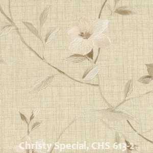 Christy Special, CHS 613-2