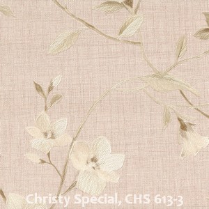 Christy Special, CHS 613-3