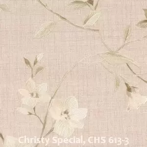 Christy Special, CHS 613-3