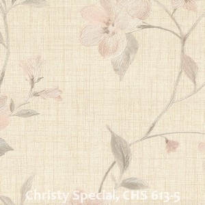 Christy Special, CHS 613-5