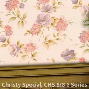 Christy Special, CHS 618-2 Series