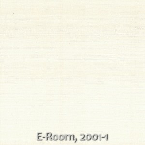 E-Room, 2001-1