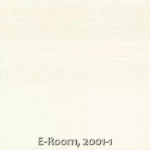 E-Room, 2001-1