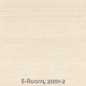 E-Room, 2001-2