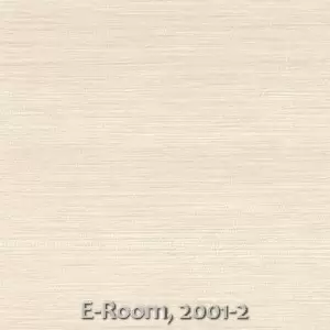 E-Room, 2001-2