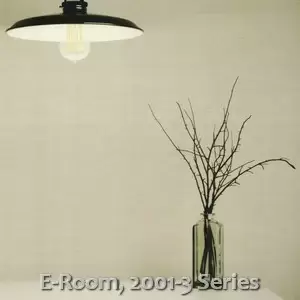 E-Room, 2001-3 Series