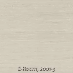 E-Room, 2001-3