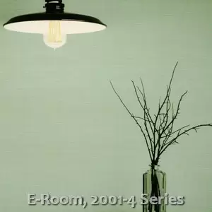 E-Room, 2001-4 Series