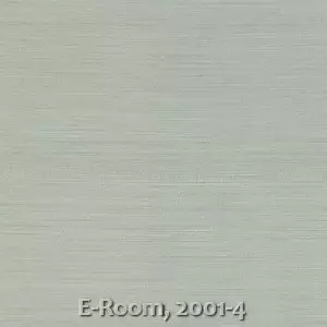 E-Room, 2001-4