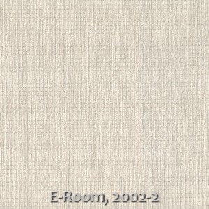 E-Room, 2002-2