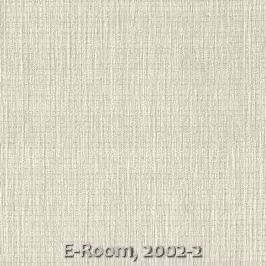 E-Room, 2002-2