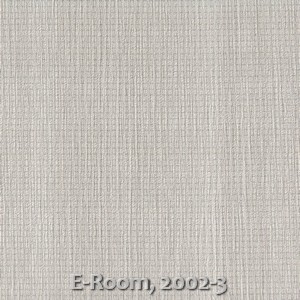 E-Room, 2002-3