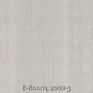 E-Room, 2002-3