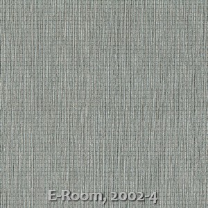 E-Room, 2002-4