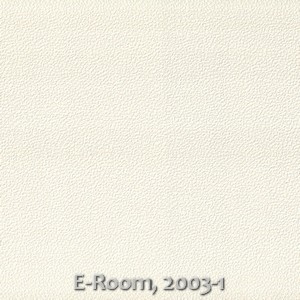 E-Room, 2003-1
