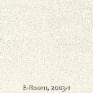 E-Room, 2003-1