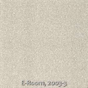 E-Room, 2003-3