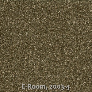 E-Room, 2003-4
