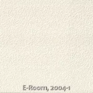 E-Room, 2004-1