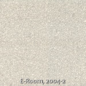 E-Room, 2004-2