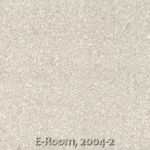 E-Room, 2004-2