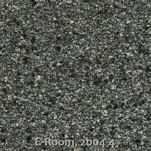 E-Room, 2004-4