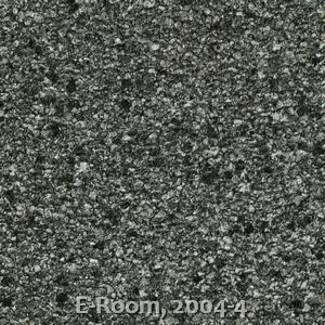 E-Room, 2004-4