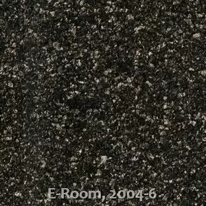 E-Room, 2004-6