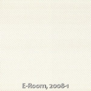 E-Room, 2008-1