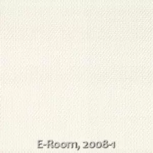 E-Room, 2008-1