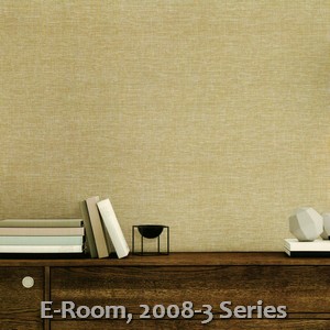 E-Room, 2008-3 Series
