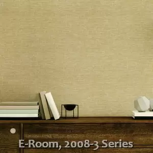 E-Room, 2008-3 Series