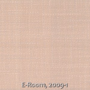 E-Room, 2009-1