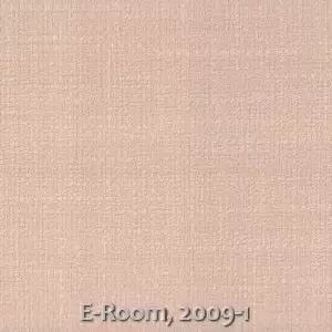 E-Room, 2009-1