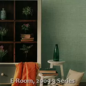 E-Room, 2009-3 Series