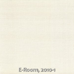 E-Room, 2010-1