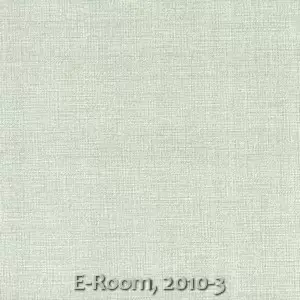 E-Room, 2010-3