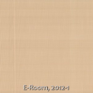 E-Room, 2012-1