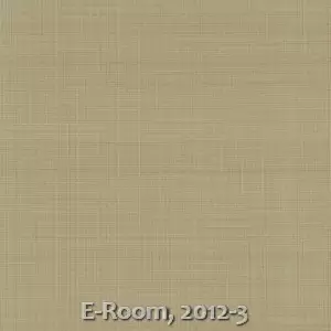 E-Room, 2012-3