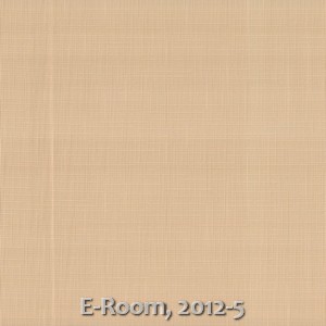 E-Room, 2012-5