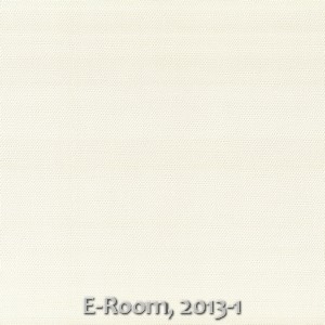 E-Room, 2013-1