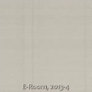 E-Room, 2013-4