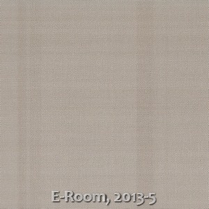 E-Room, 2013-5
