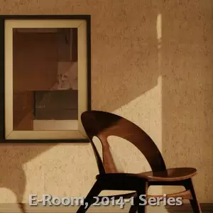 E-Room, 2014-1 Series