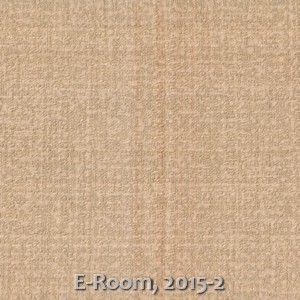 E-Room, 2015-2
